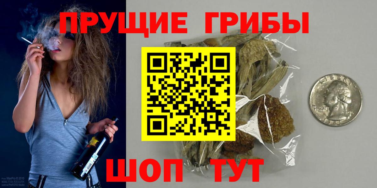 Псилоцибиновые грибы Psilocybe  Вход с VPN  купить наркотики цена  Туапсе 